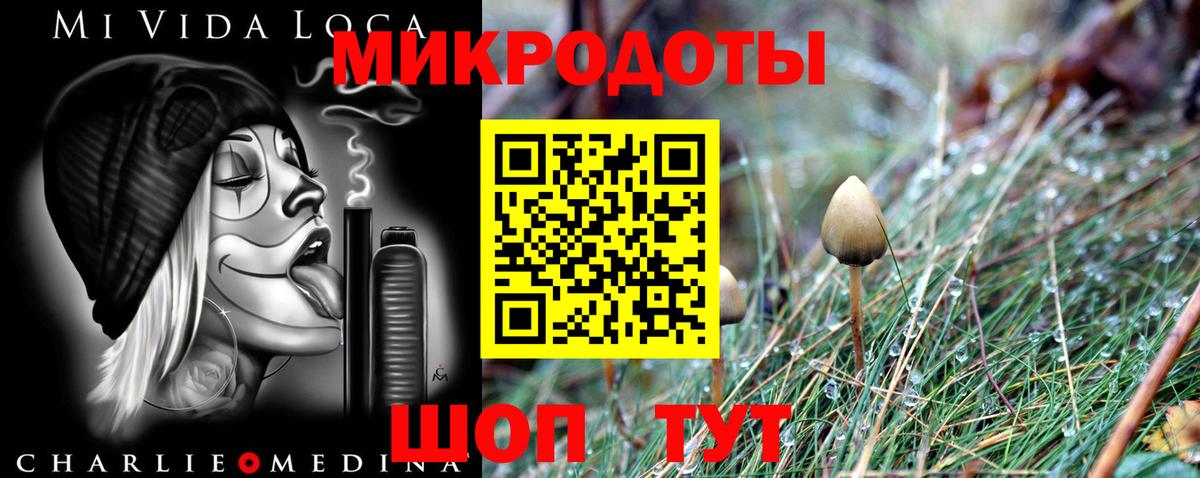 Псилоцибиновые грибы мицелий  Вход с VPN  Псилоцибиновые грибы Psilocybe  закладки  Кемерово 